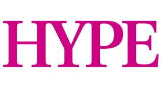 dianisa logo preview