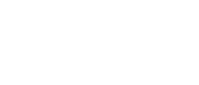 dianisa logo